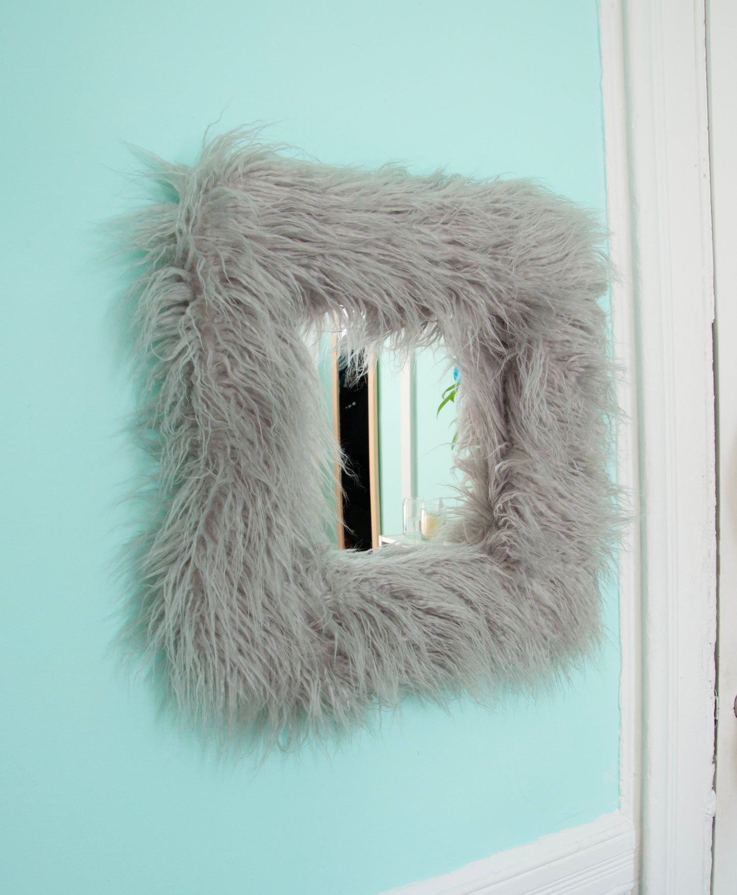 Fur Mirror